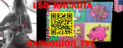 индика Бердск