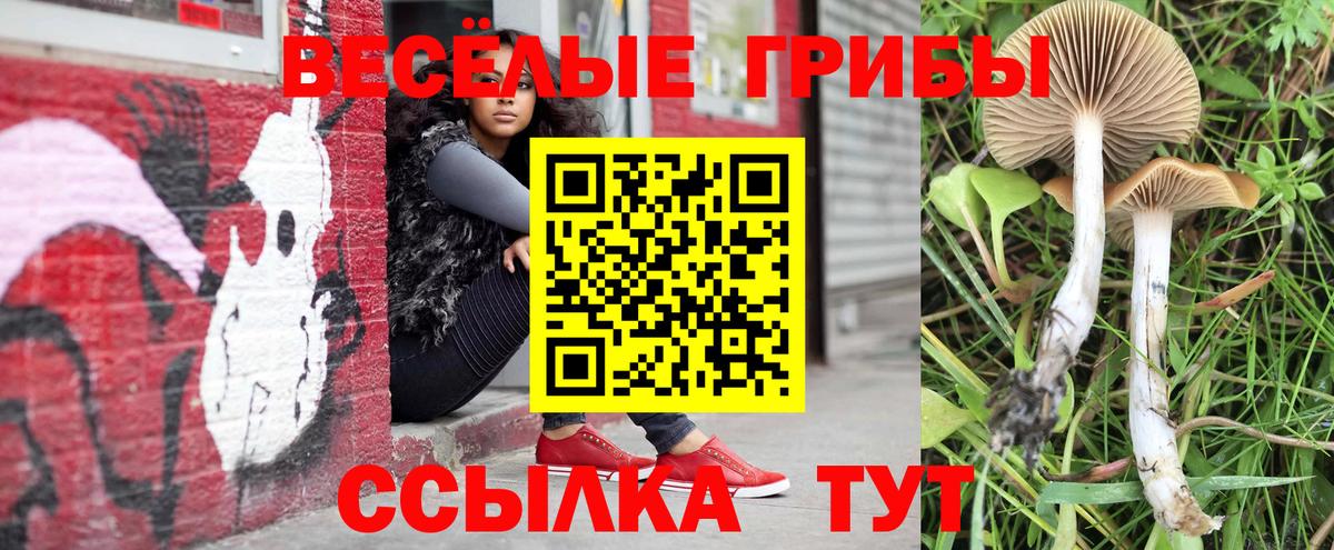 Псилоцибиновые грибы MAGIC MUSHROOMS  Вход с VPN  Псилоцибиновые грибы прущие грибы  Бор 