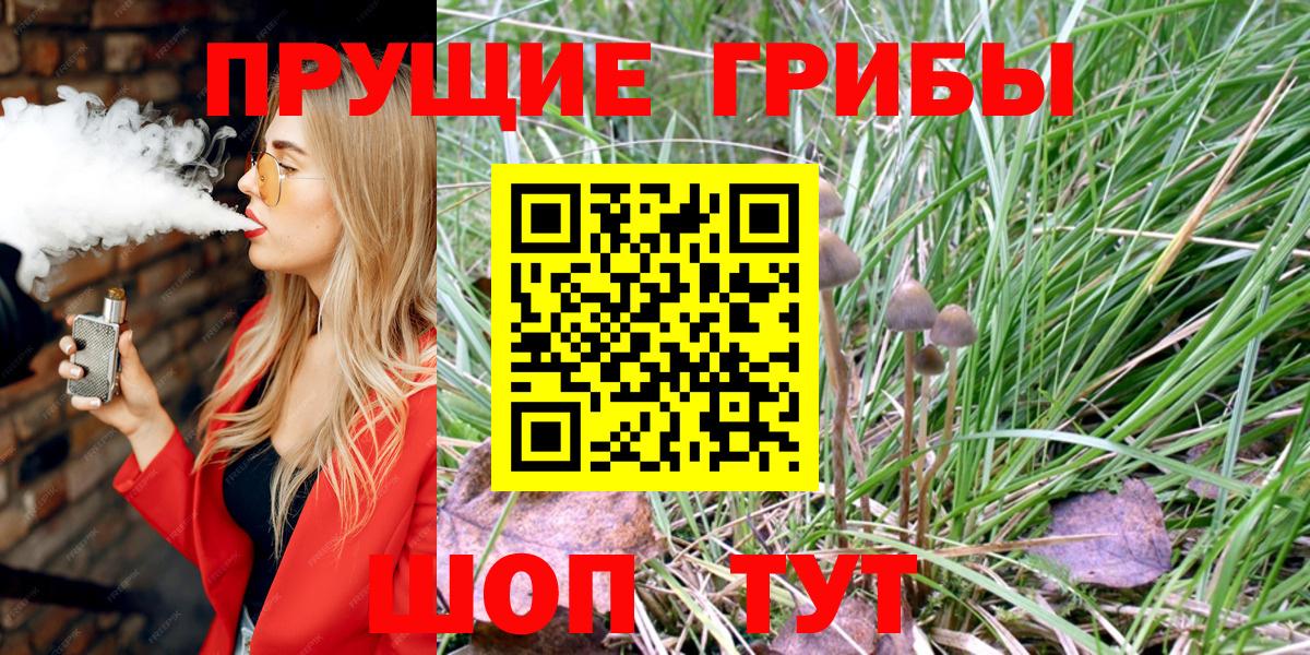 Псилоцибиновые грибы мухоморы Бор